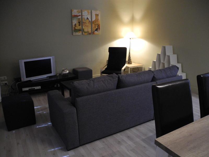 Ferienhaus Vue Sur Cite - Carcassonne