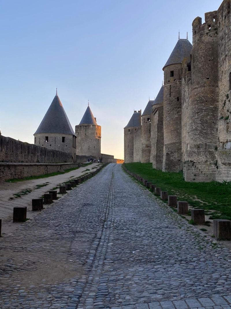 Vue Sur Cite - Vakantiehuis Carcassonne